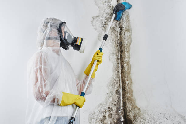 Best Residential Mold Removal  in Scottsboro, AL