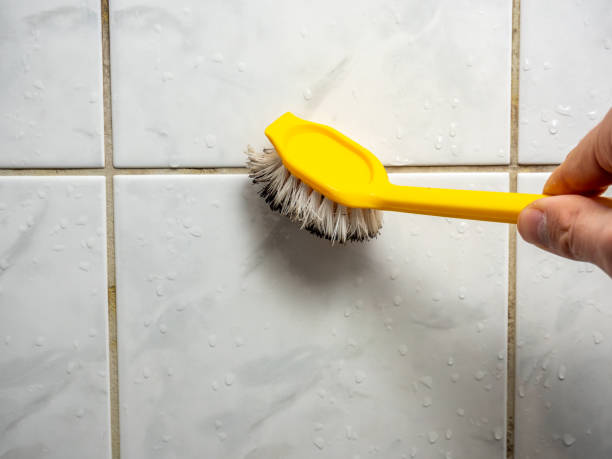 Water Damage Restoration in Scottsboro, AL