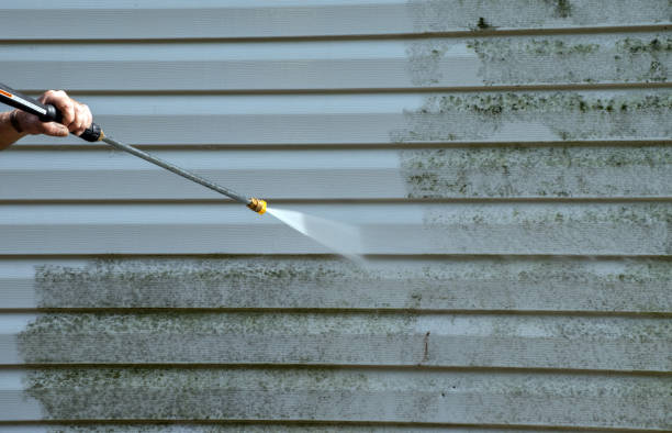 Best Mold Removal and Inspection  in Scottsboro, AL