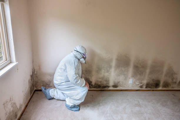 Best Home Mold Removal  in Scottsboro, AL